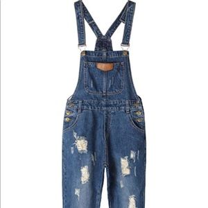 Denim Overalls